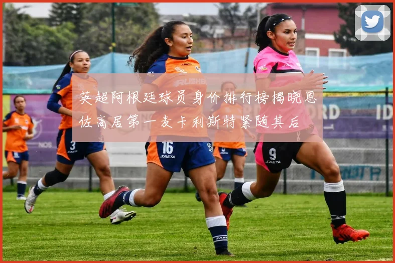 英超阿根廷球员身价排行榜揭晓恩佐高居第一麦卡利斯特紧随其后