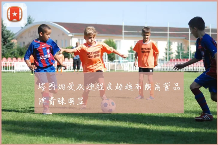 塔图姆受欢迎程度超越布朗高管品牌青睐明显