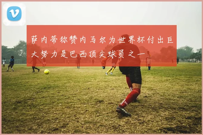 萨内蒂称赞内马尔为世界杯付出巨大努力是巴西顶尖球员之一