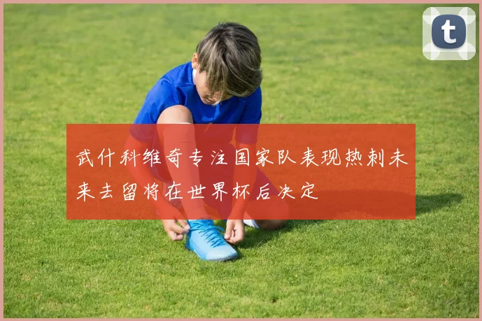 武什科维奇专注国家队表现热刺未来去留将在世界杯后决定